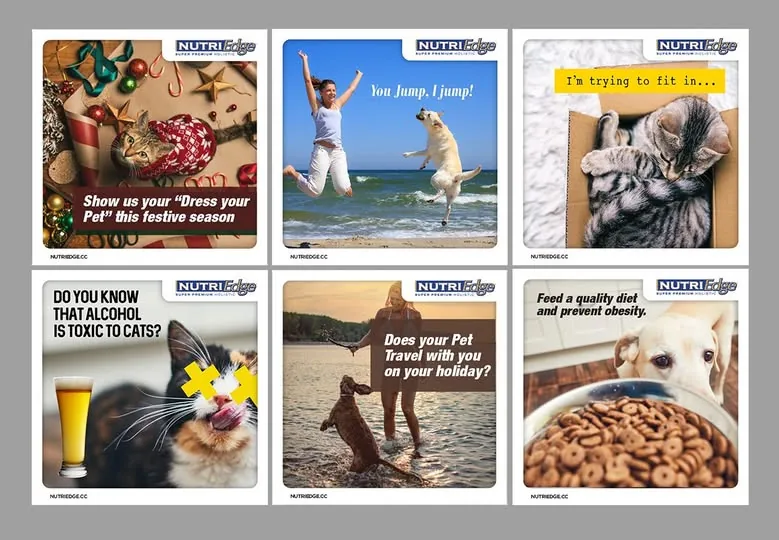 Nutriedge social media posts by Adxus